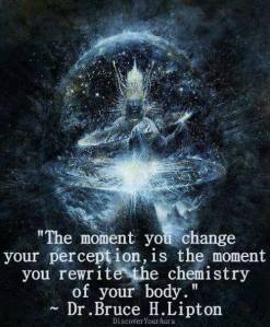 perception and chemistry