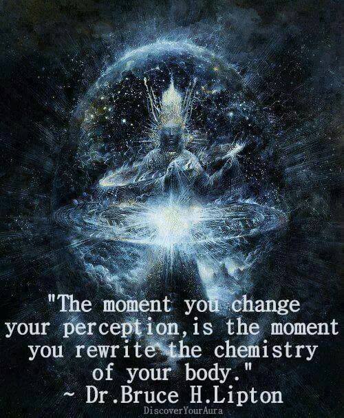 perception and chemistry