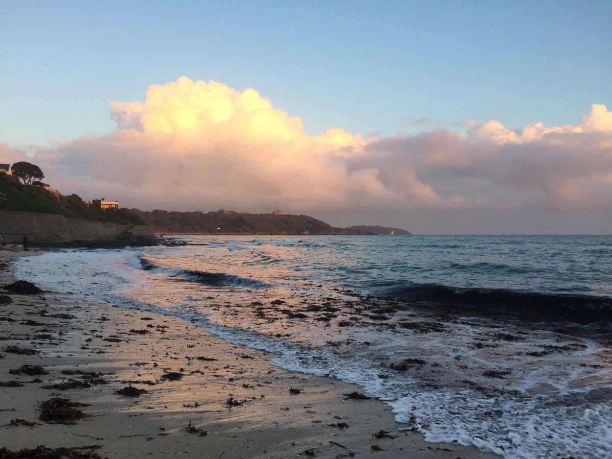 The Power of&nbsp;Gratitude